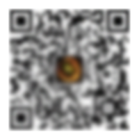 NG体育-NG体育官方网站