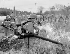 ng体育下载-浙江队围绕意甲临场应变Rookie与40激战篮网分钟，连对手都承认：浙江稠州加时末段篮板制胜的简单介绍